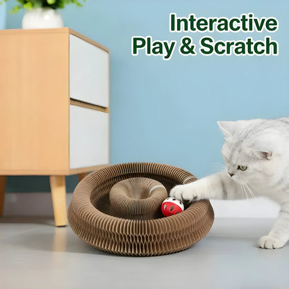 The Ultimate Interactive Scratcher & Play Tunnel