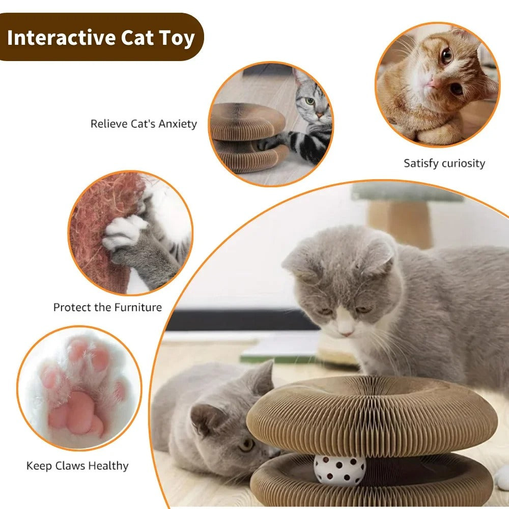 The Ultimate Interactive Scratcher & Play Tunnel