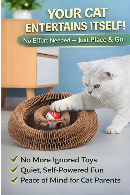 The Ultimate Interactive Scratcher & Play Tunnel